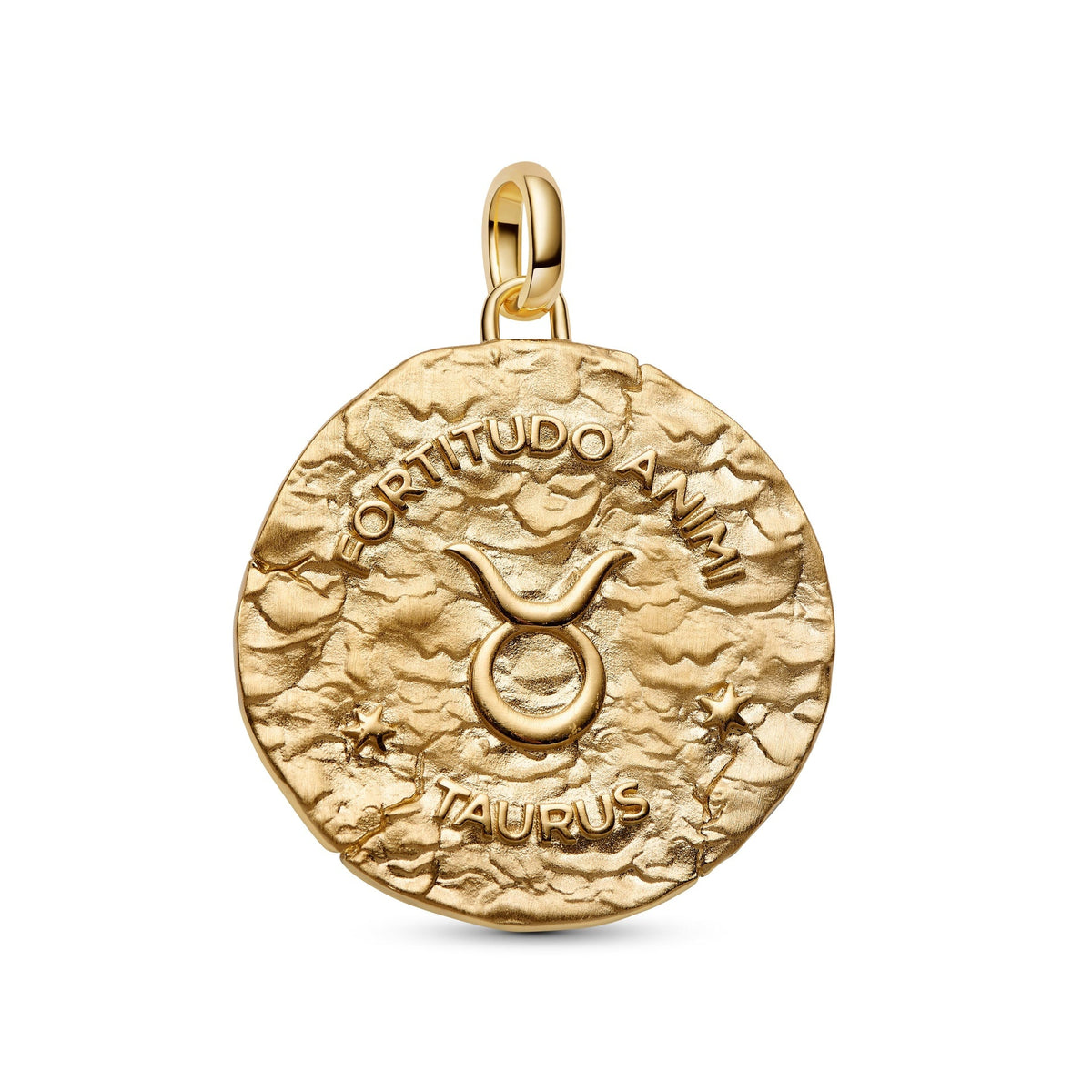 Pandora Taurus Zodiac Oversized Medallion Charm