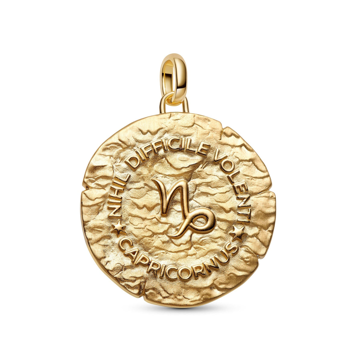 Pandora Capricorn Zodiac Oversized Medallion Charm
