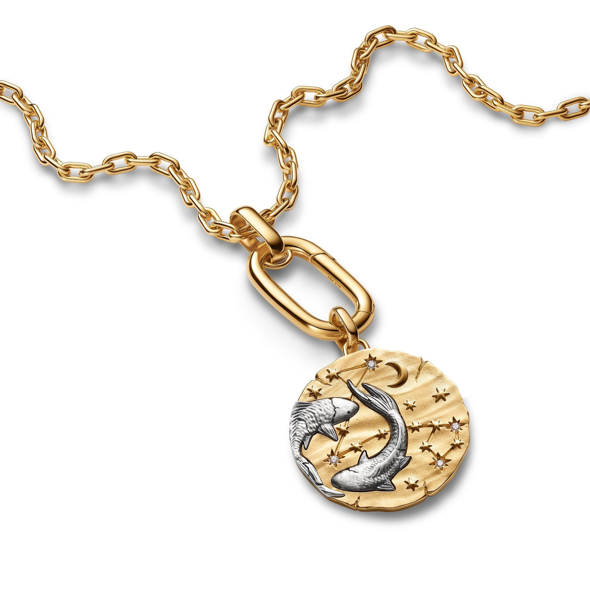 Pandora Pisces Zodiac Oversized Medallion Charm