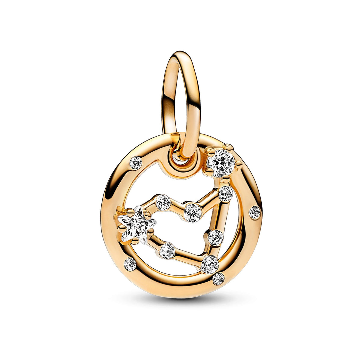 Capricorn Zodiac Dangle Charm