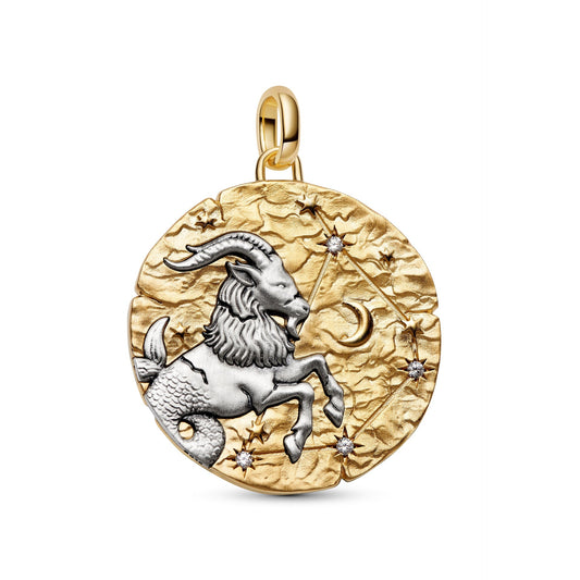 Pandora Capricorn Zodiac Oversized Medallion Charm