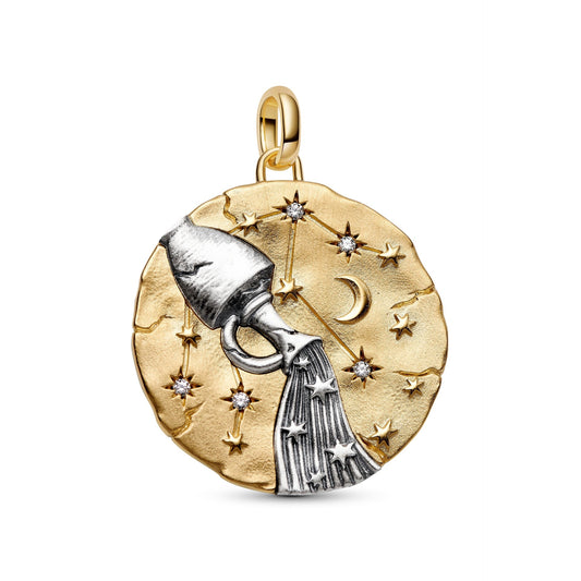 Pandora Aquarius Zodiac Oversized Medallion Charm