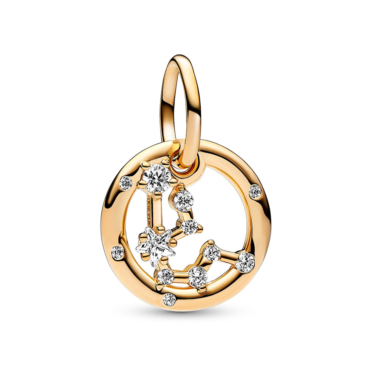 Aquarius Zodiac Dangle Charm