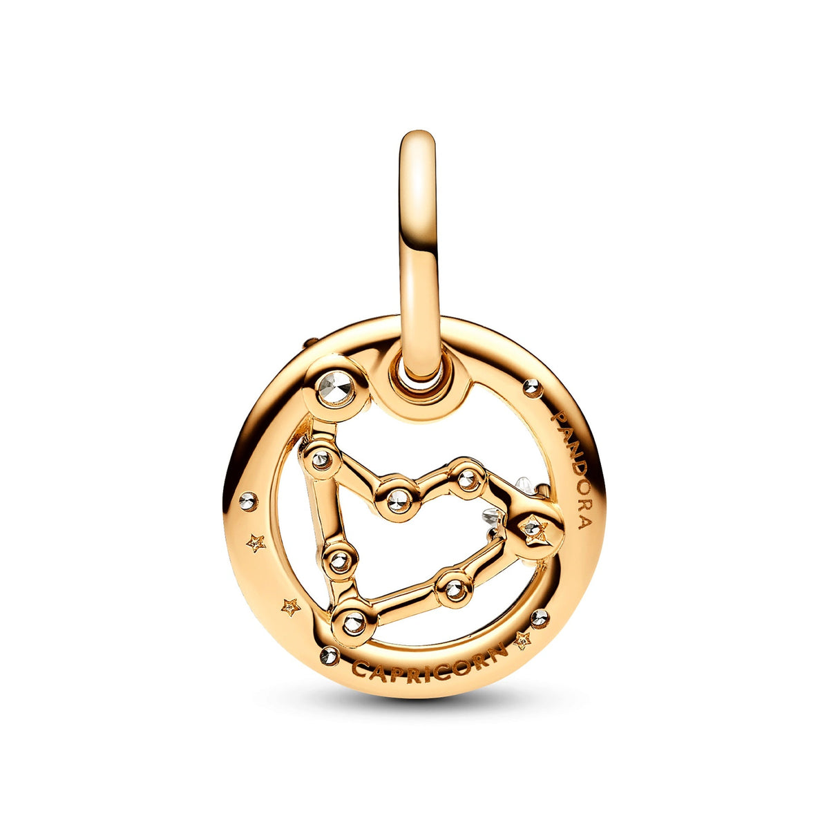 Capricorn Zodiac Dangle Charm