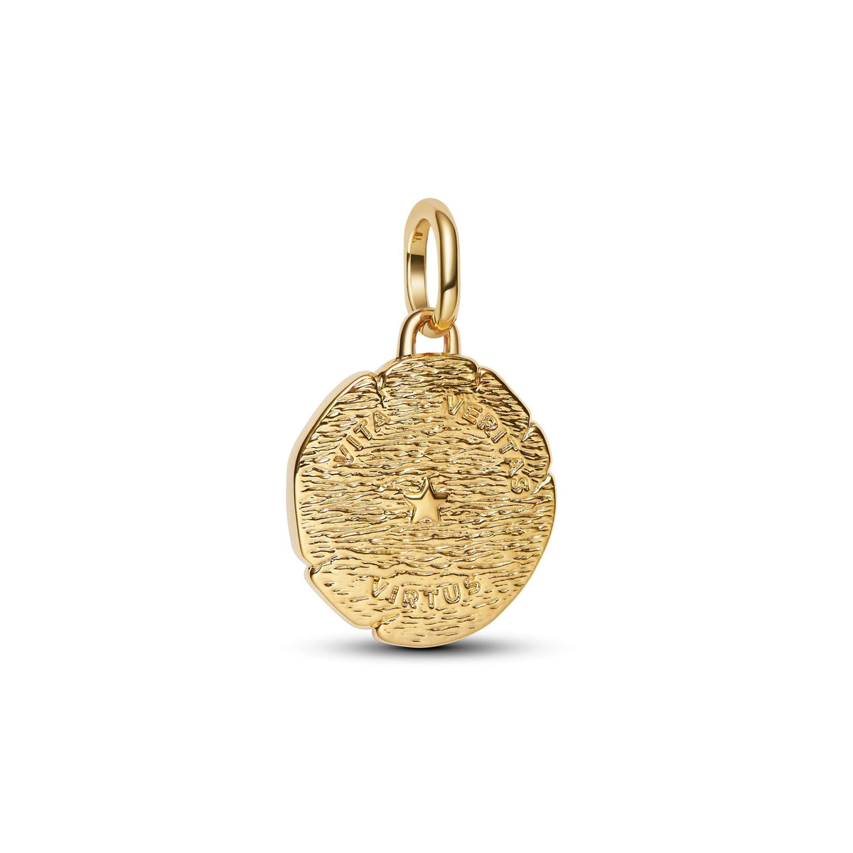 Pandora Lion Medallion Charm